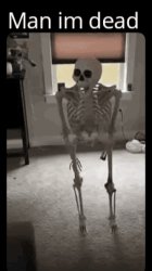 skelly bunns Meme Template