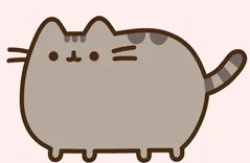 Pusheen Meme Template