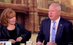 A View: Behar Hot for Walz. Meme Template