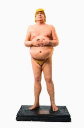 Emperor has no clothes Meme Template