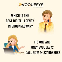 Digital Agency in Bhubaneswar Meme Template