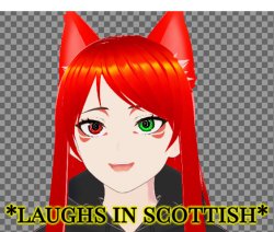 dragnoc laughs in scottish Meme Template