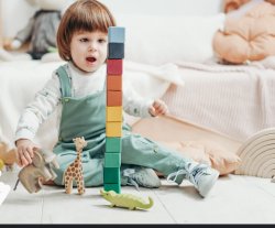 Toys Meme Template