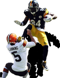 Antonio Brown kicks Spencer Lanning punter Meme Template