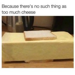 Cheese Meme Template