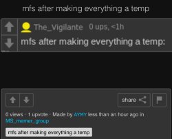 mfs after making everything a temp Meme Template