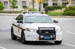 police car Meme Template