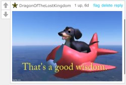 DOTLK that’s good wisdom Meme Template