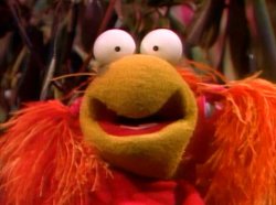 Red Fraggle Meme Template