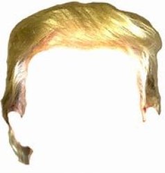 Trump hair Meme Template