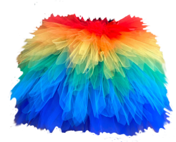 TUTU MUCH RAINBOW Meme Template