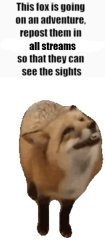 This Fox is Going on an Adventure Meme Template
