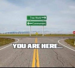 You Must Pick Qne Arrow Meme Template