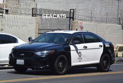 police car Meme Template