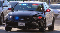 police car Meme Template