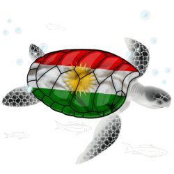 Kurdish turtle Meme Template