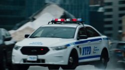 police car Meme Template