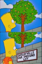 Bart Simpson lemon tree Meme Template