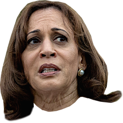 KAMALA - STRESSED Meme Template