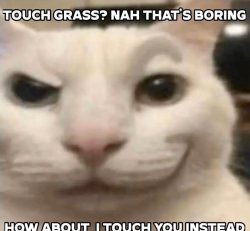 Touch grass? nah that's boring how about I touch you instead Meme Template