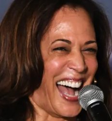 Kamala Harris Meme Template