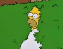 Homer retreating into the bush Meme Template