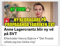 Anne Lagercrantz SVT - TJUV BEDRAGARE LÖGNARE Meme Template