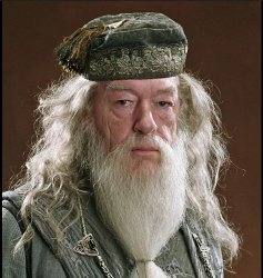 Dumbledore the hypocrit Meme Template