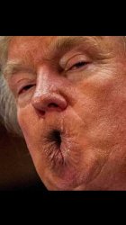 Trump Anus Mouth Lips Meme Template