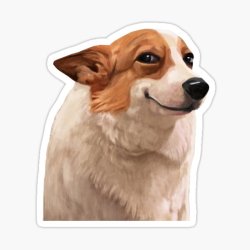 Corgi smiling mene Meme Template