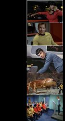 Star Trek and the gian crab Meme Template