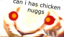 CHICKEN NUGGS FOR FLOPPA Meme Template