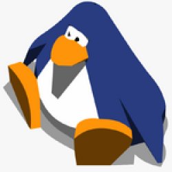 sitting penguin Meme Template