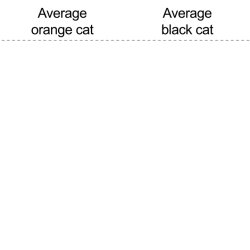 Average Orange Cat vs. Average Black Cat template Meme Template