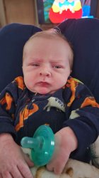 Grumpy Baby Meme Template