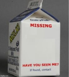 missing milk carton Meme Template