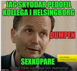 Carl Dahlén, vd Securitas Sverige - Sugar Daddy - Dumpen - Peddo Meme Template