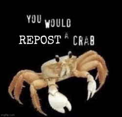 You would repost a crab Meme Template