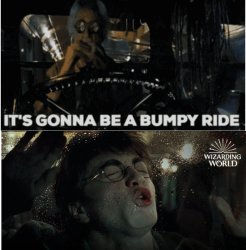 It's going to be a bumpy ride harry potter Meme Template