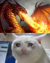 Crying kitten Meme Template