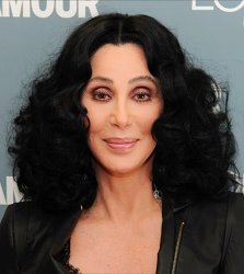 Just Cher Meme Template