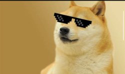 Da kool Doge Meme Template