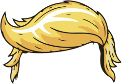 TRUMP HAIR Meme Template