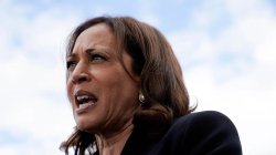 Kamala Angry Meme Template