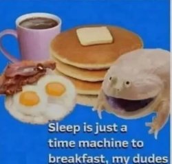 Sleep is just time machine to my breakfast Meme Template