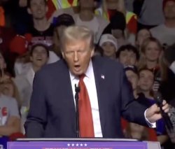 Trump Tuah Meme Template