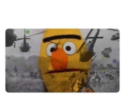 Bert Meme Template