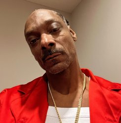 Sad snoop dogg Meme Template