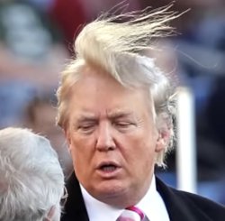 Wind v Trump Meme Template