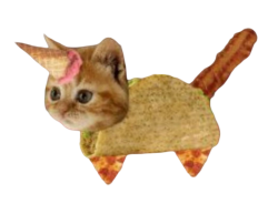 Bacon Taco Cat left Meme Template